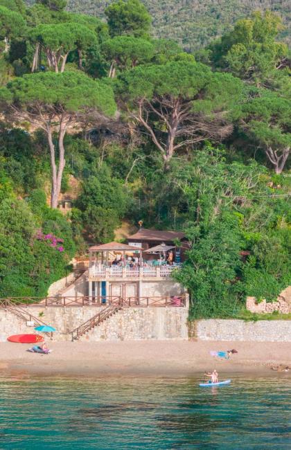 Spiaggia tranquilla con mare calmo e vegetazione rigogliosa.