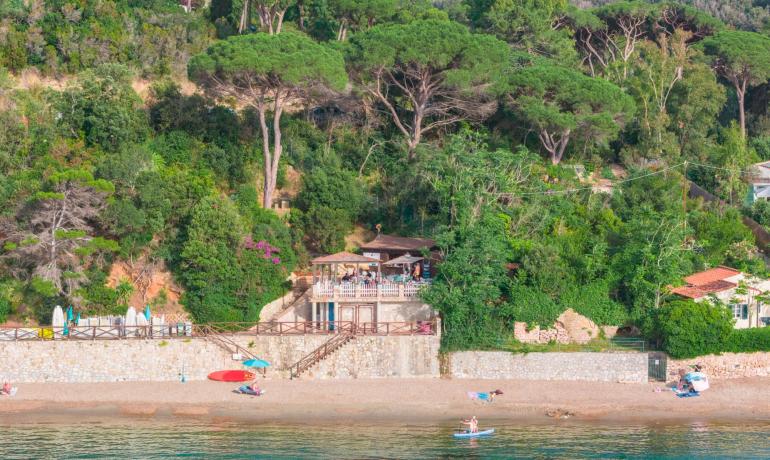 Spiaggia tranquilla con mare calmo e vegetazione rigogliosa.