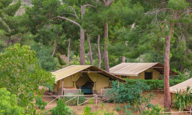 Tende glamping immerse nella natura tra alberi verdi.